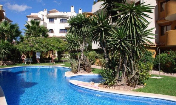 apartment - Herverkoop - Punta Prima - Punta Prima
