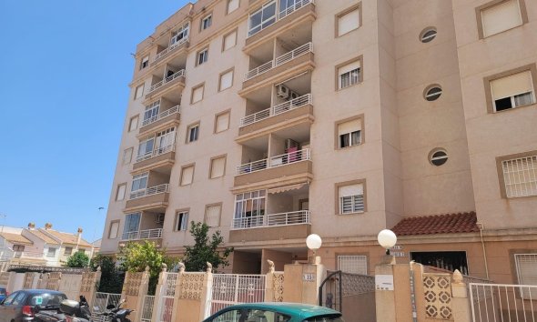 apartment - Wiederverkauf - Torrevieja -
                Nueva Torrevieja