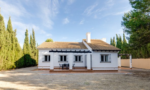 detached - Neue Gebäude - Fuente Alamo - Fuente Alamo