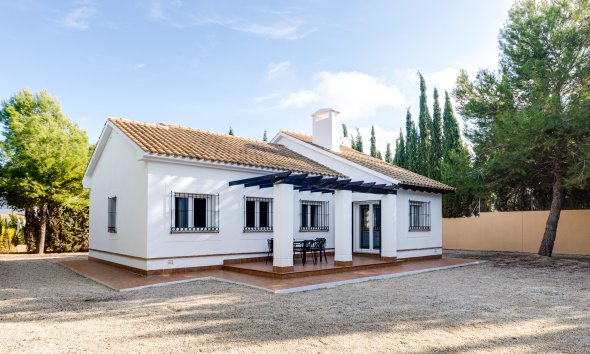 detached - Neue Gebäude - Fuente Alamo - Fuente Alamo