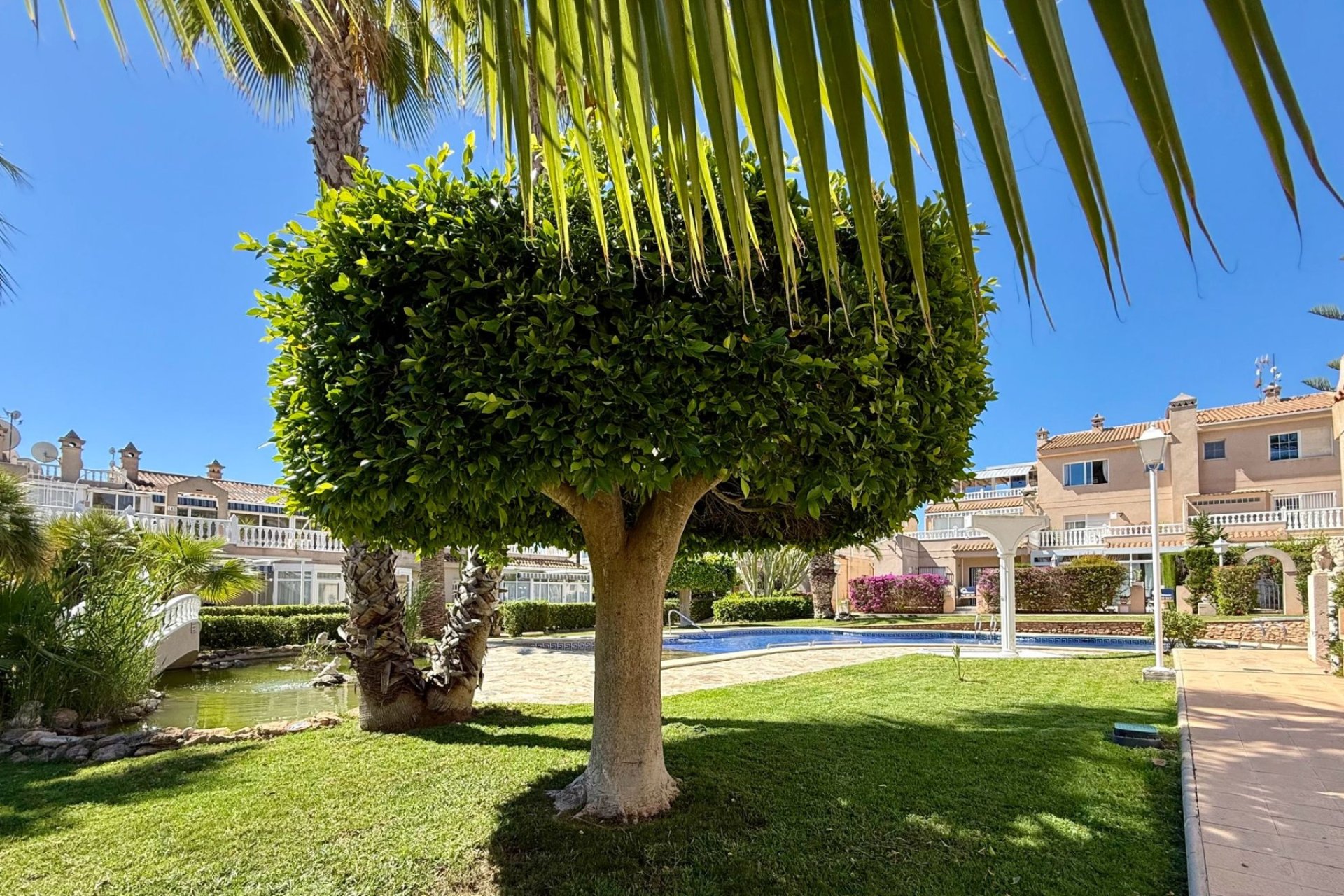 Herverkoop - apartment -
Orihuela Costa - Playa Flamenca