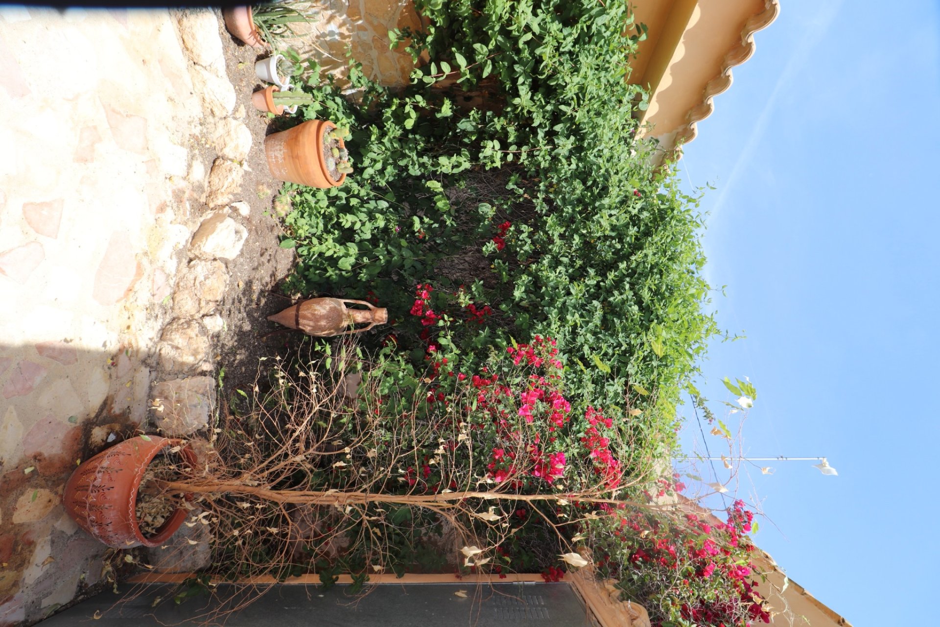 Herverkoop - Country House -
Hondón de las Nieves - La Canalosa