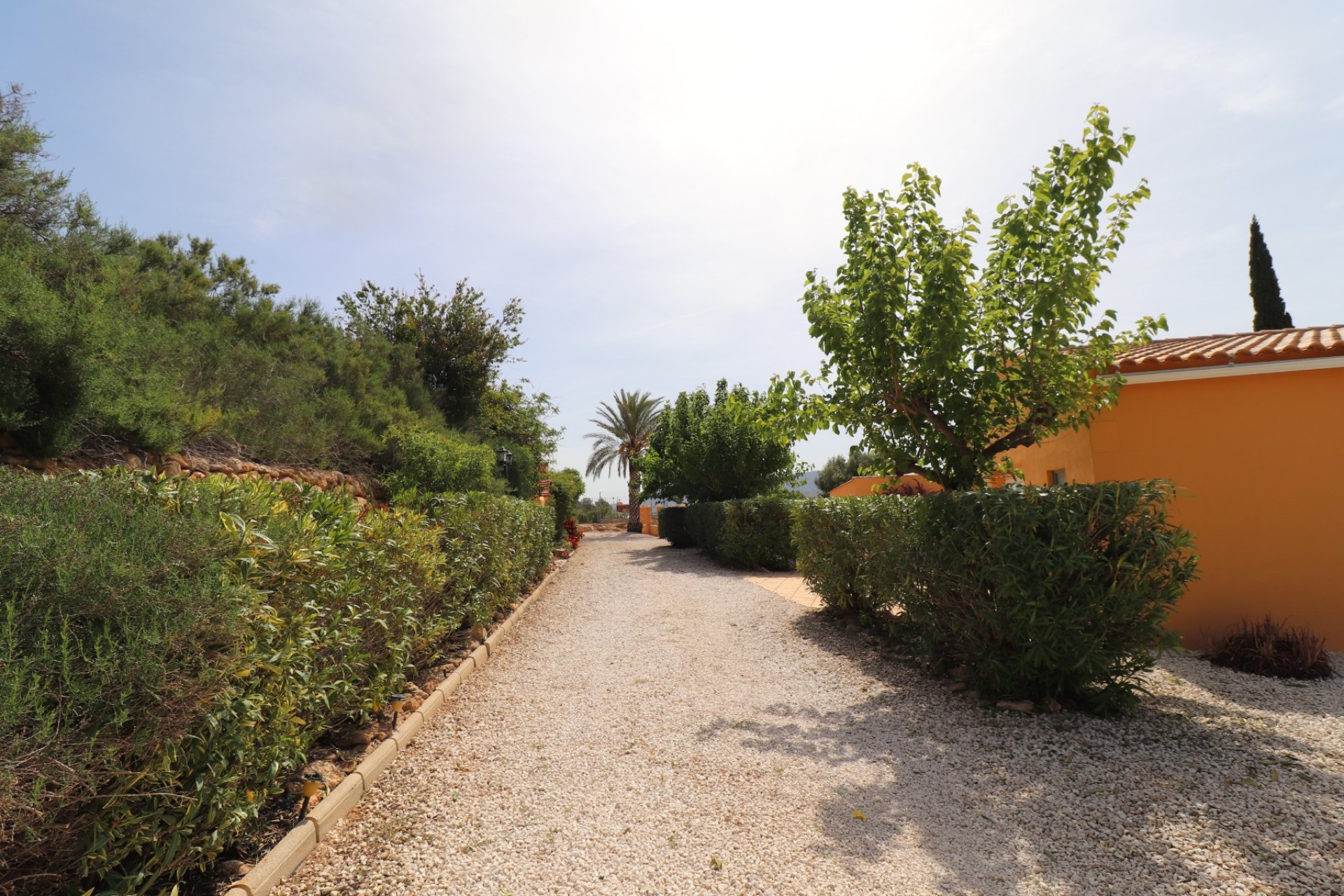 Herverkoop - Country House -
Hondón de las Nieves - La Canalosa