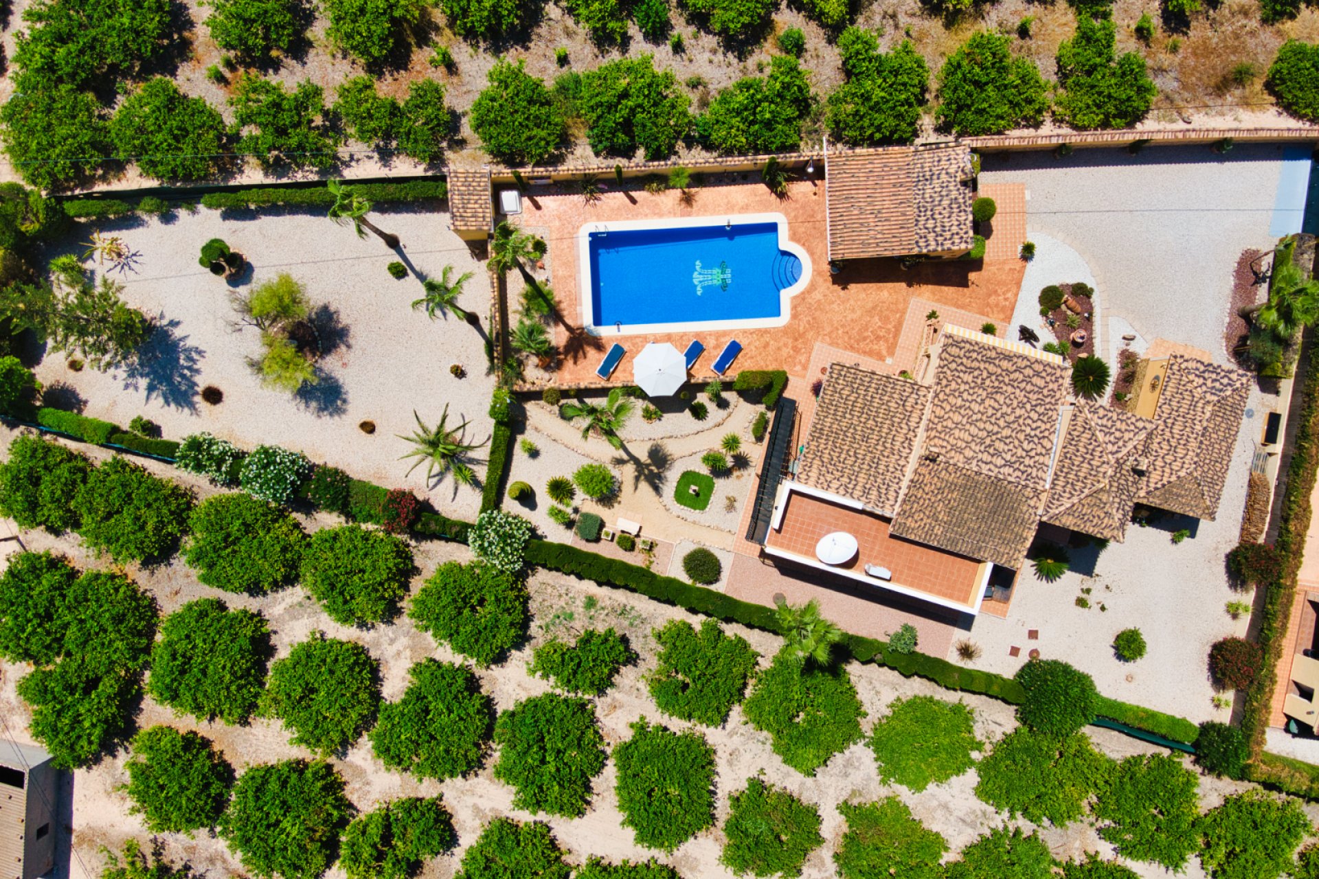 Herverkoop - Country House -
Orihuela