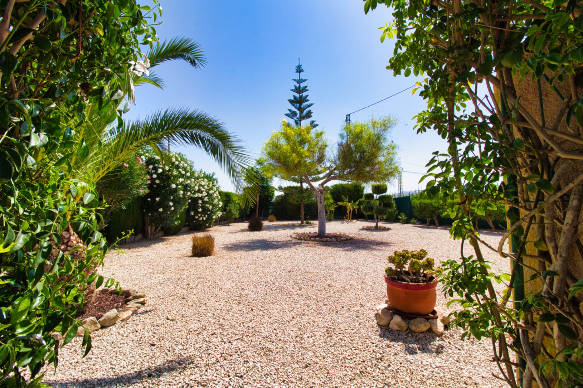 Herverkoop - Country House -
Orihuela