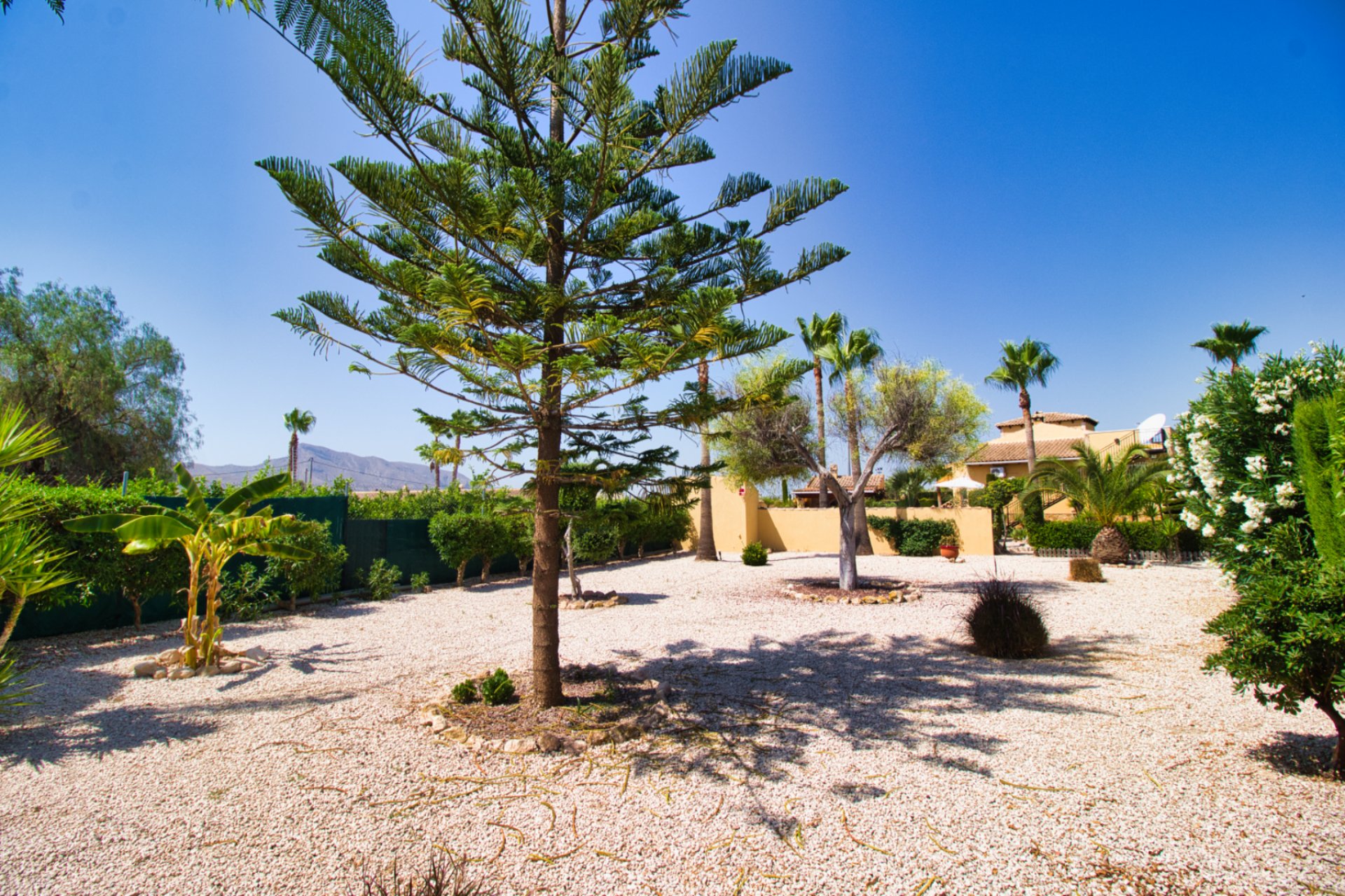Herverkoop - Country House -
Orihuela