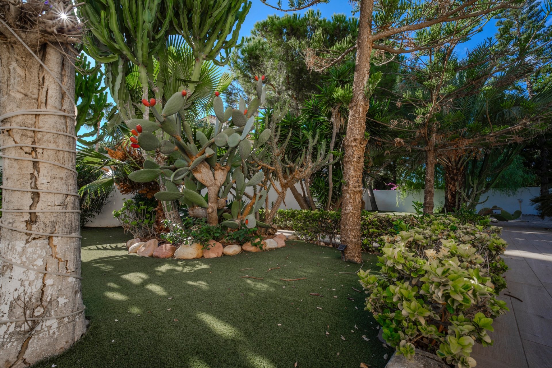 Herverkoop - Villa -
Ciudad Quesada - Doña Pepa