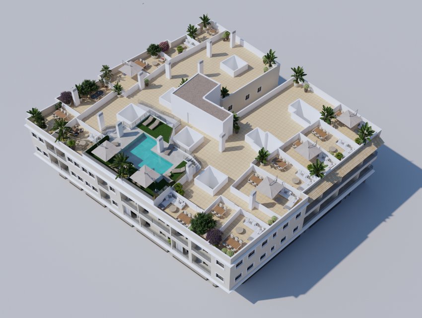 Neue Gebäude - Penthouse -
Algorfa