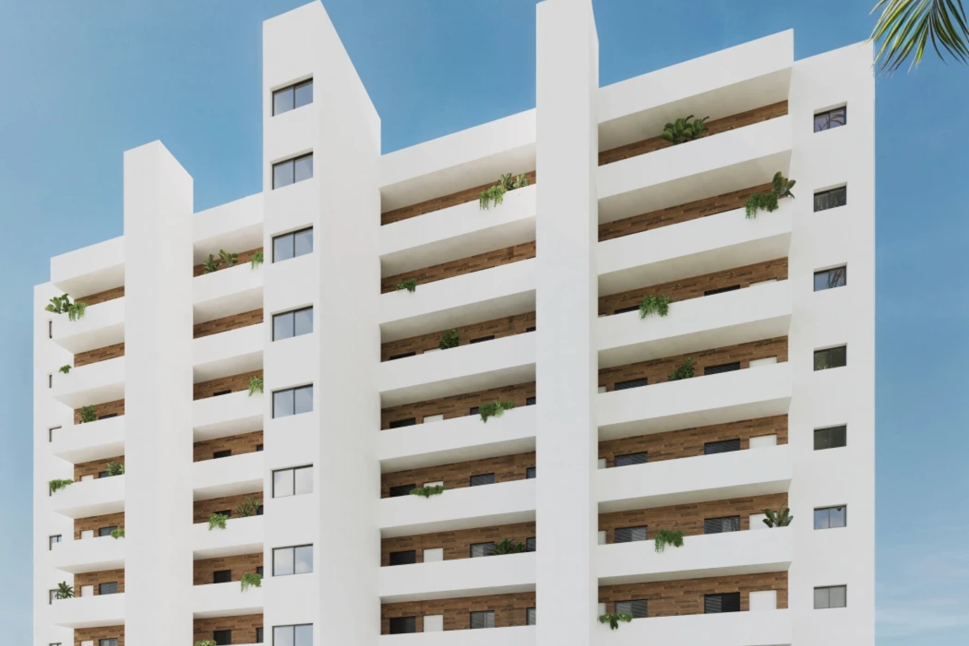 Neue Gebäude - Penthouse -
Benidorm