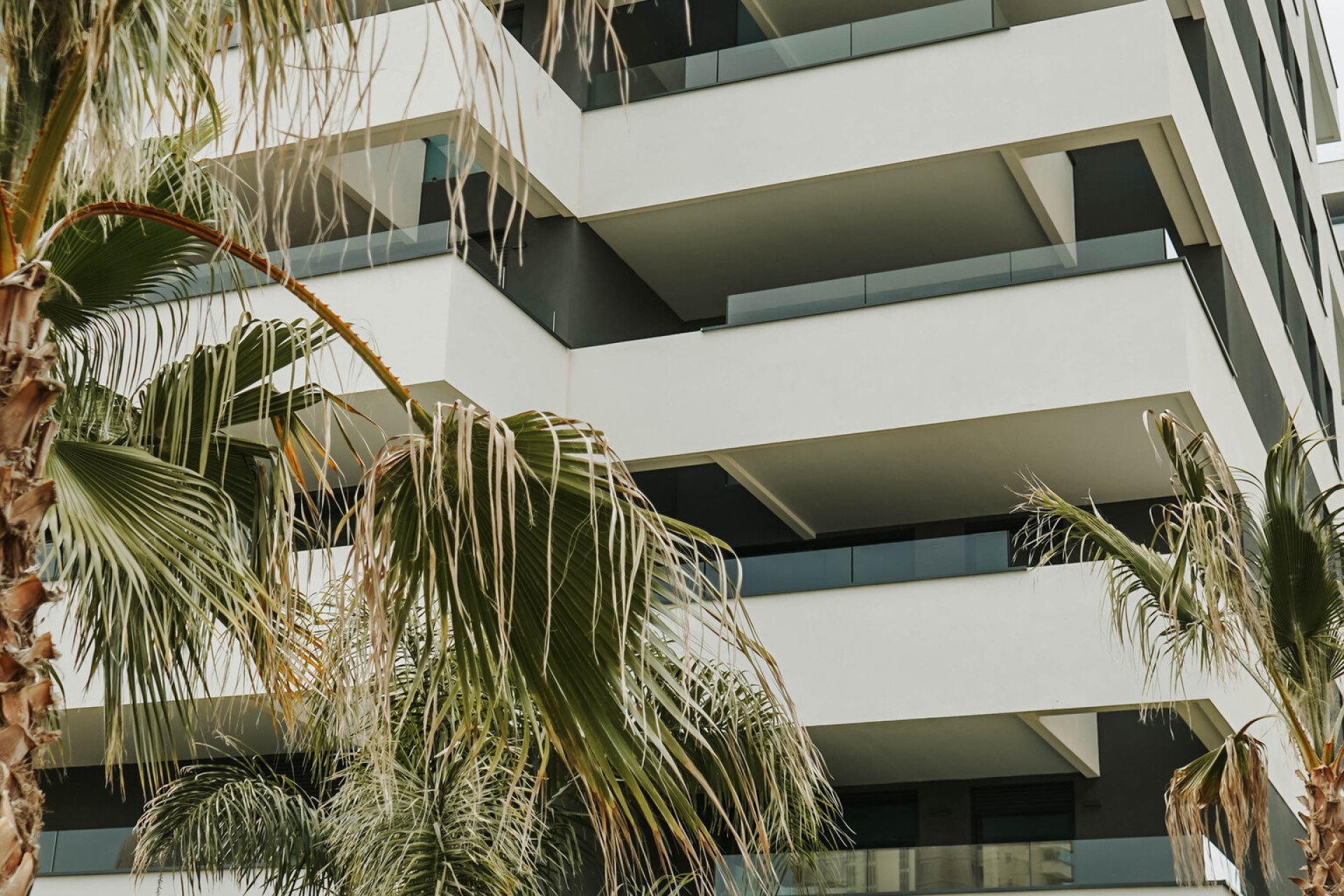 Neue Gebäude - Penthouse -
Calpe