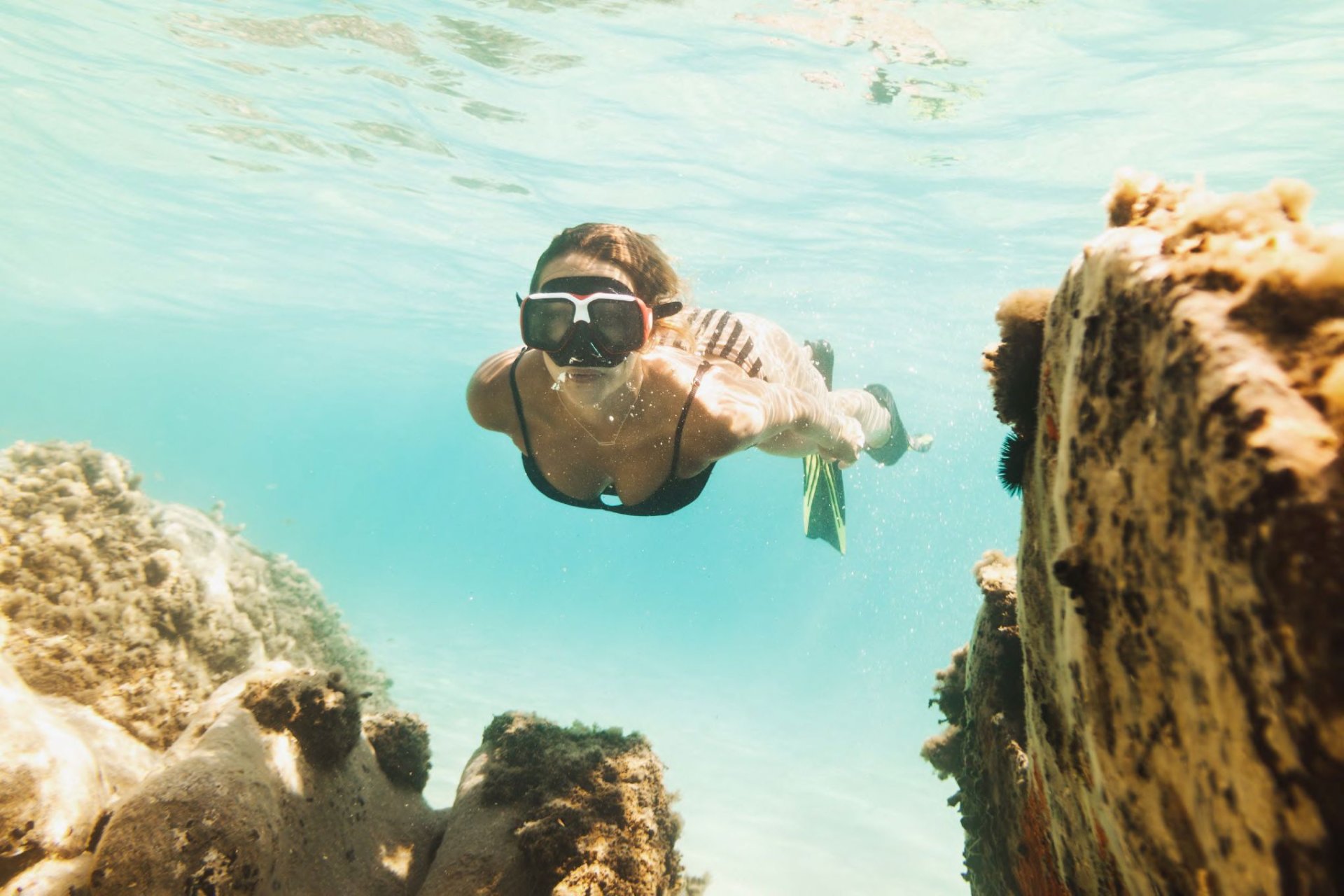 New Build - apartment -
La Manga del Mar Menor