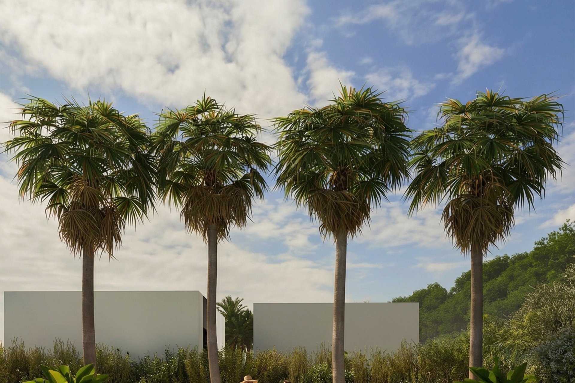 New Build - detached -
Alfaz del Pi