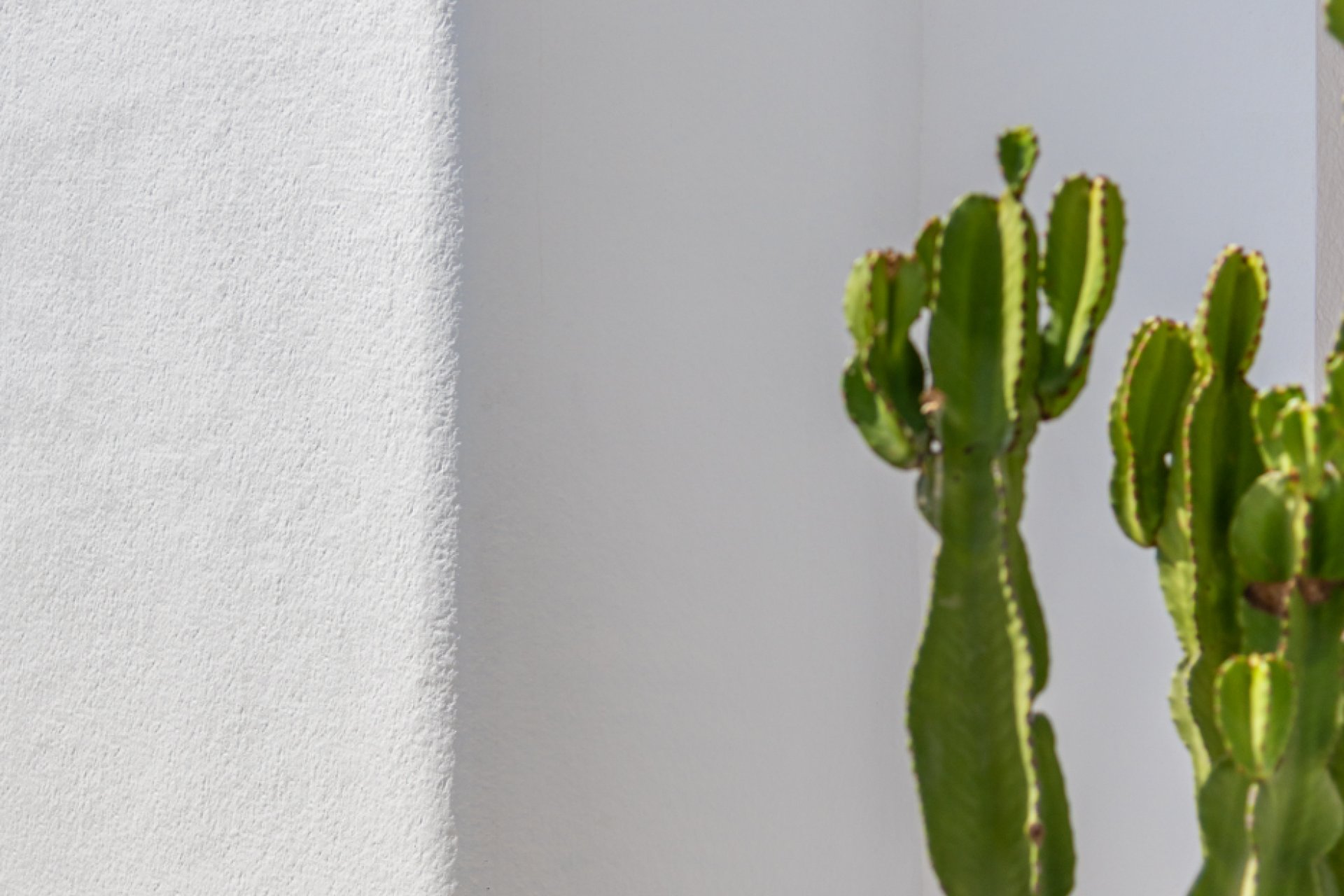 New Build - detached -
Los Alcázares