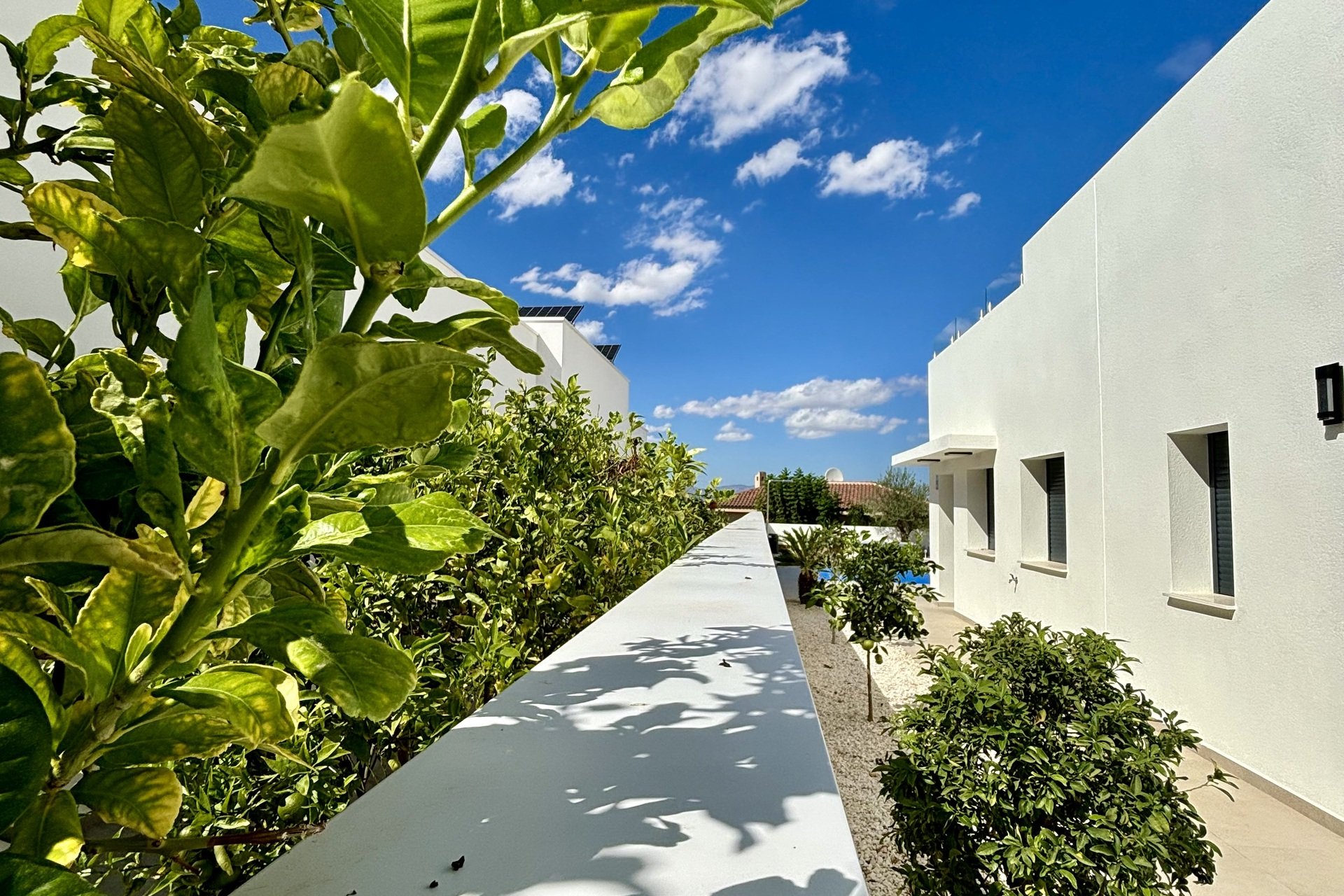 Nieuwbouw Woningen - detached -
Benijofar