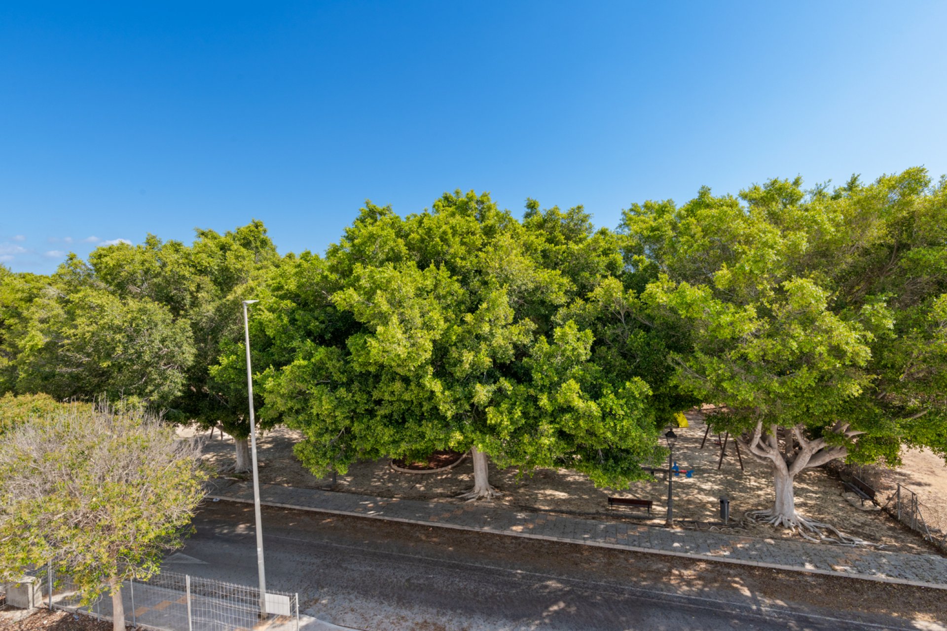 Nieuwbouw Woningen - detached -
Pilar de la Horadada