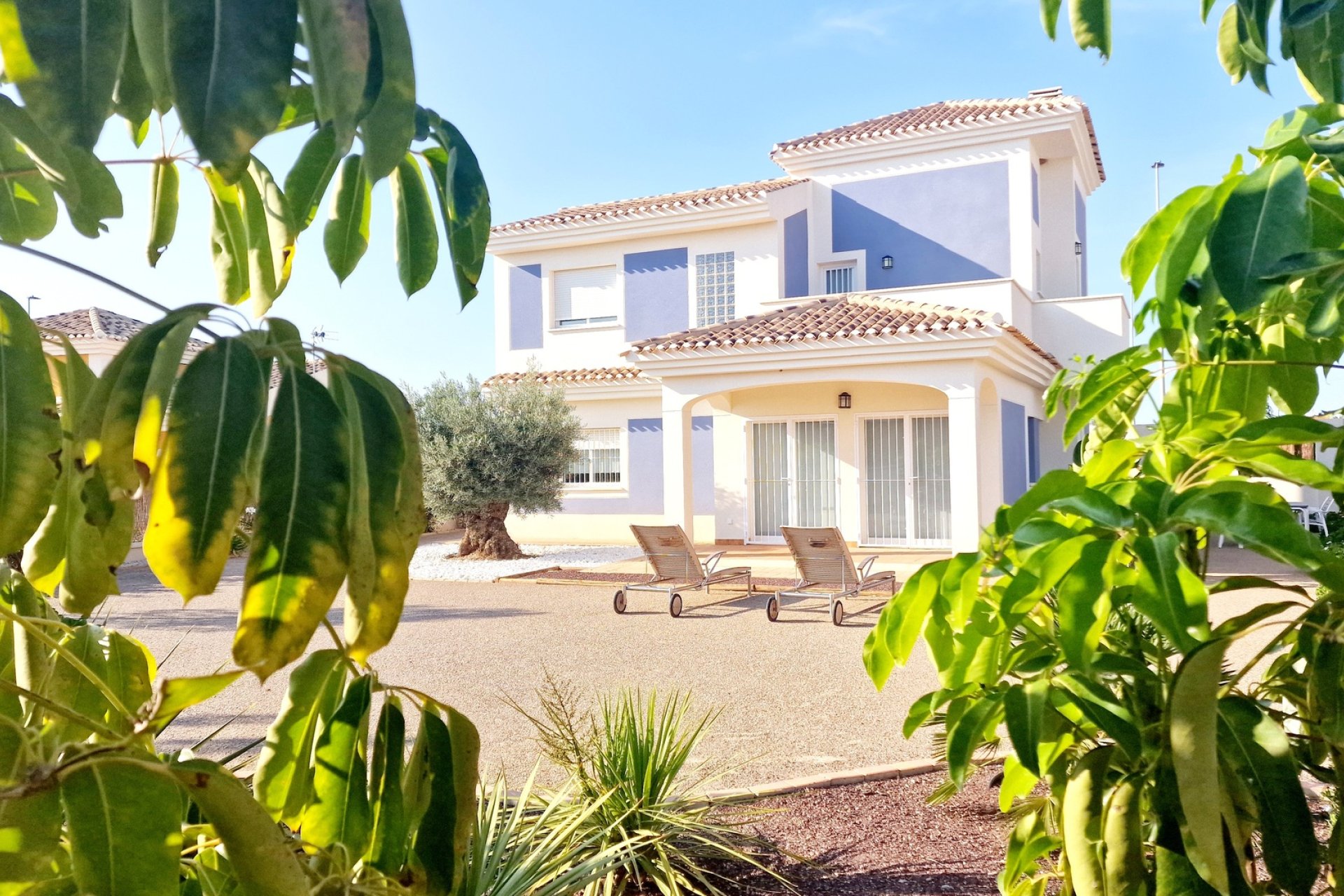 Nieuwbouw Woningen - detached -
Purias