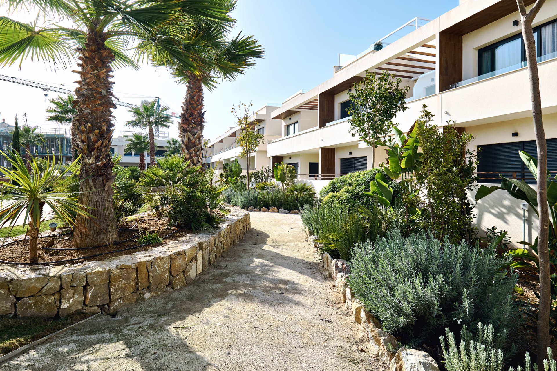 Nieuwbouw Woningen - high-bungalow -
Torrevieja