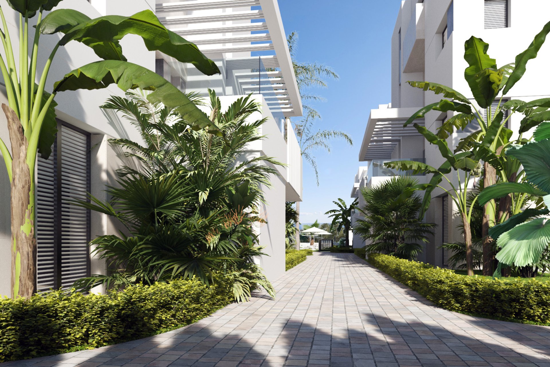 Nieuwbouw Woningen - Penthouse -
Santa Rosalía
