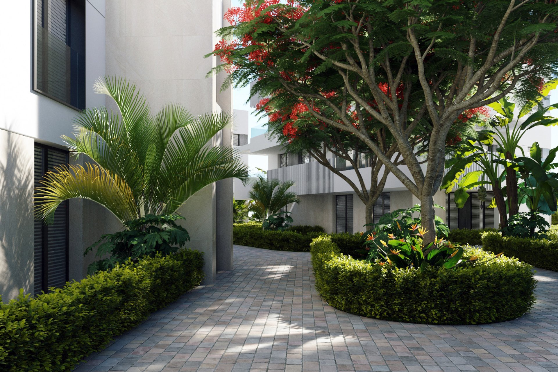 Nieuwbouw Woningen - Penthouse -
Santa Rosalía