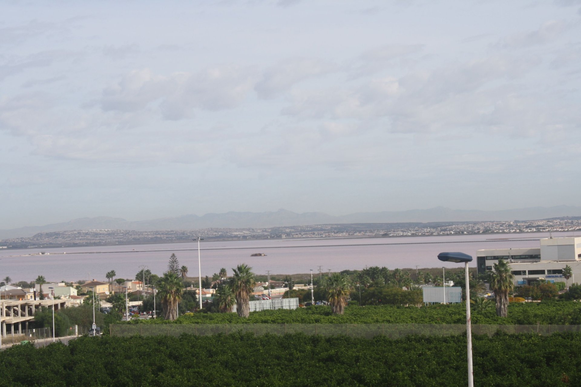 Nieuwbouw Woningen - semi-detached -
Torrevieja