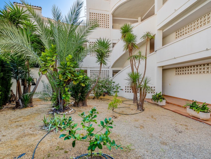 Resale - apartment -
Altea