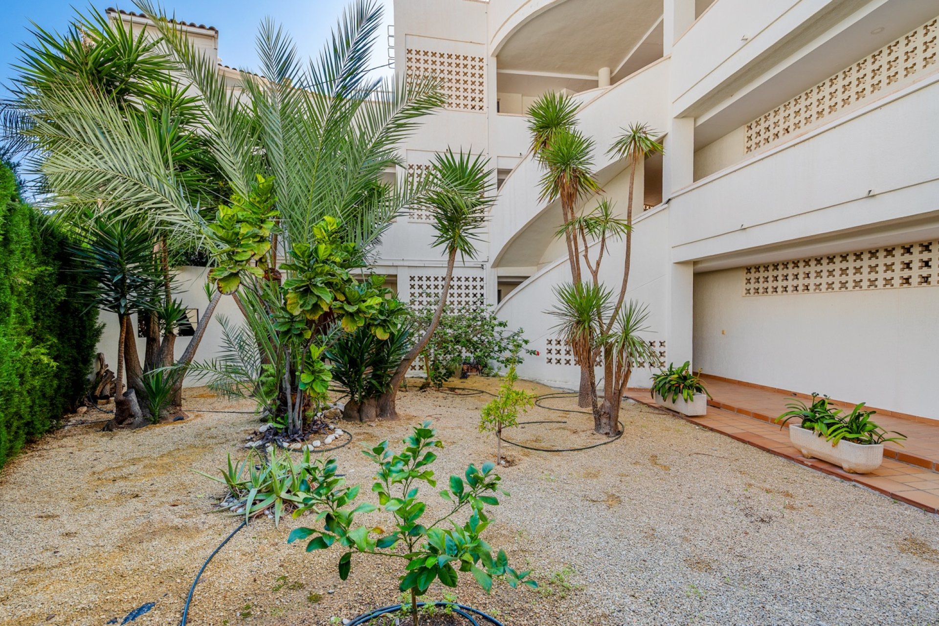 Resale - apartment -
Altea