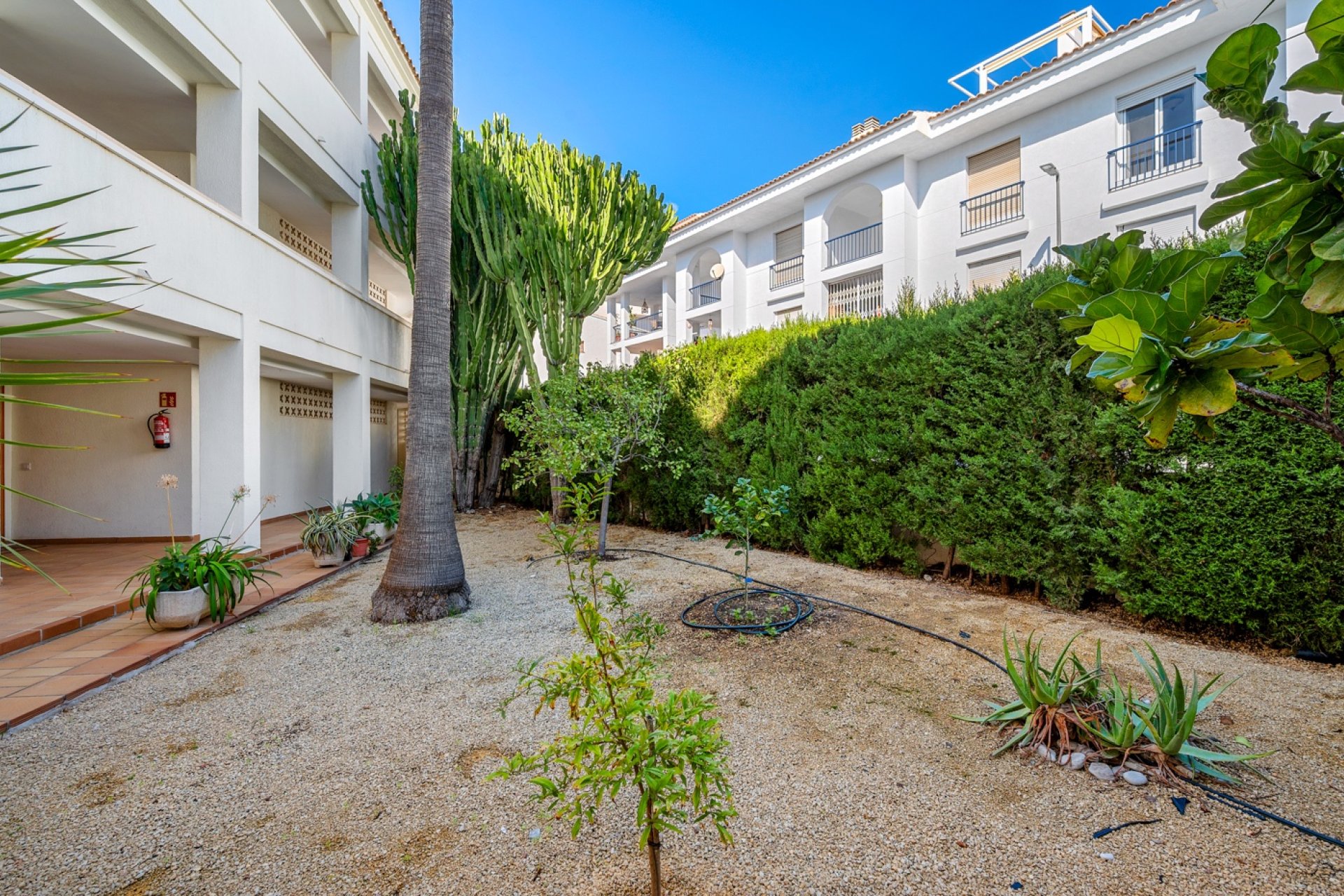 Resale - apartment -
Altea