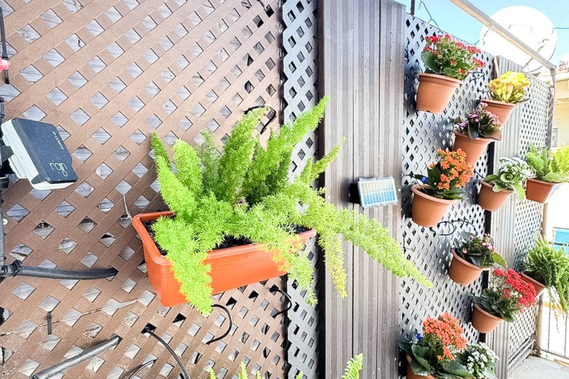 Resale - apartment -
Benidorm - Levante