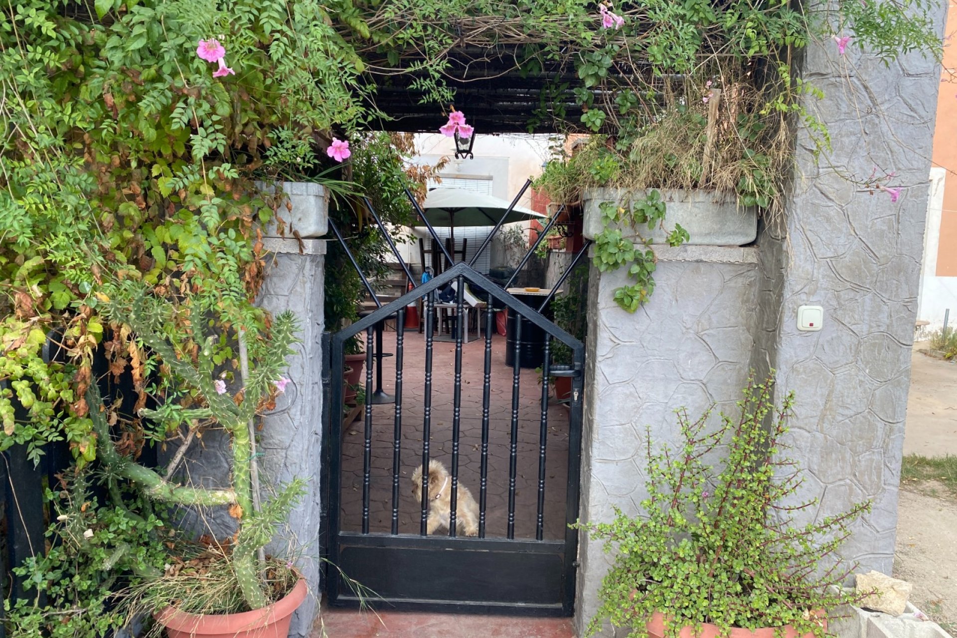 Resale - Country House -
Sax