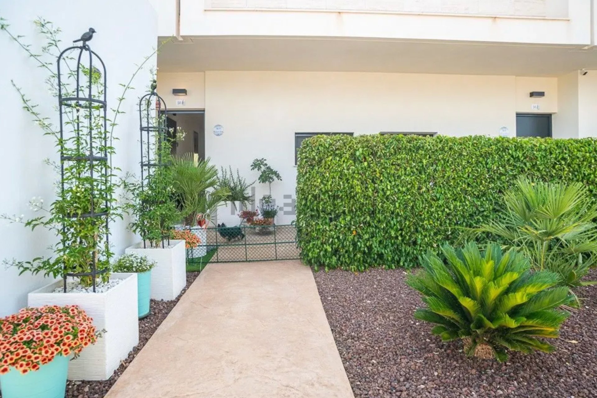 Resale - Townhouse -
Pilar de la Horadada - Lo Romero Golf