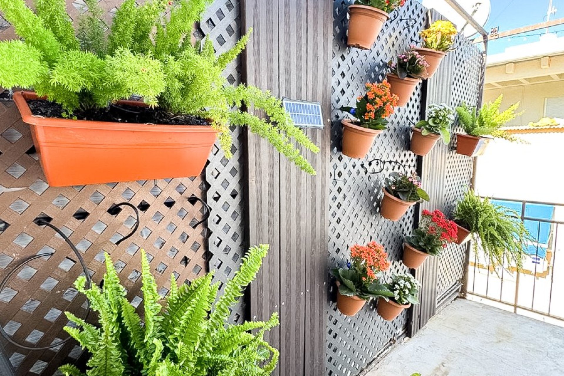 Wiederverkauf - apartment -
Benidorm - Levante