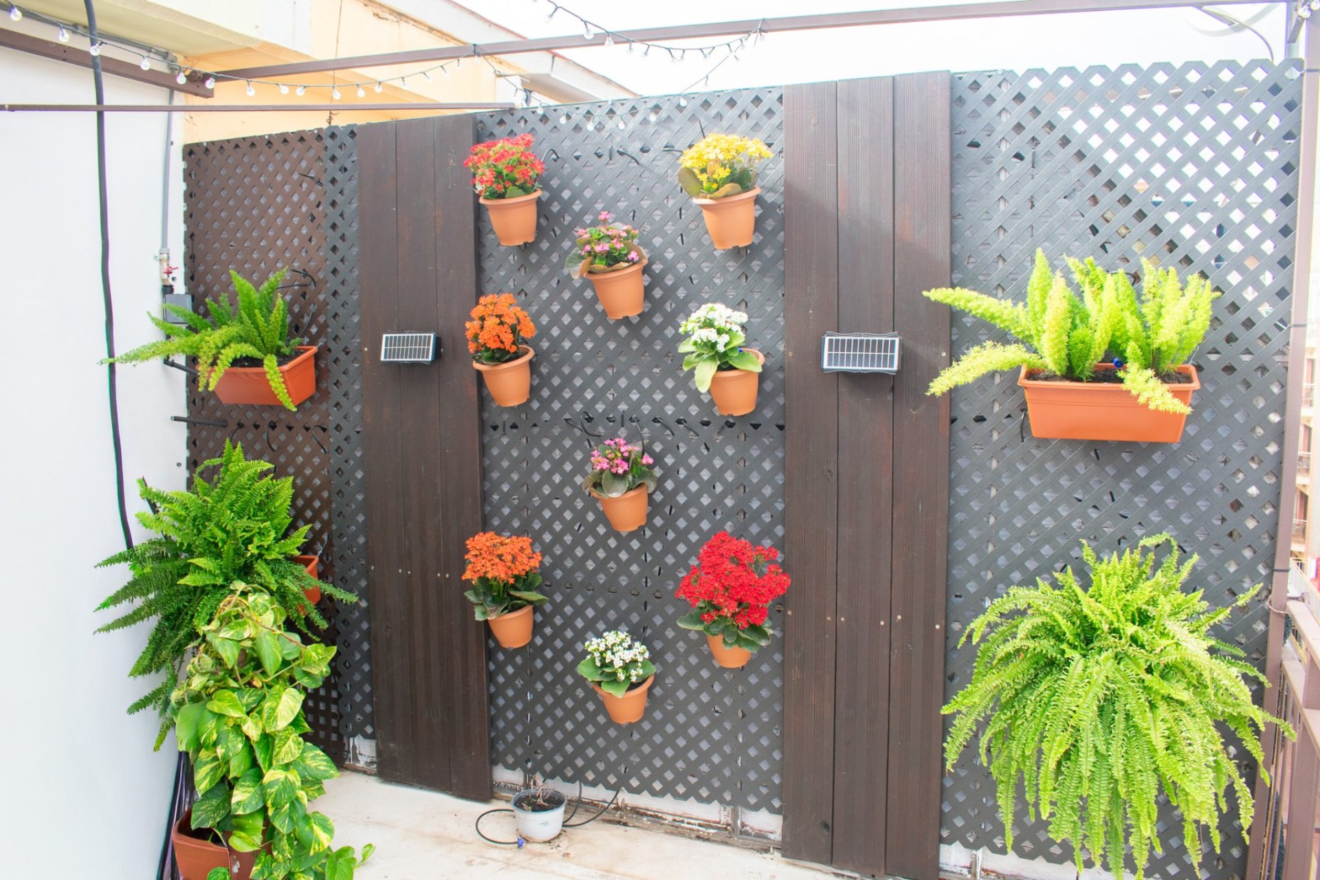 Wiederverkauf - apartment -
Benidorm - Levante