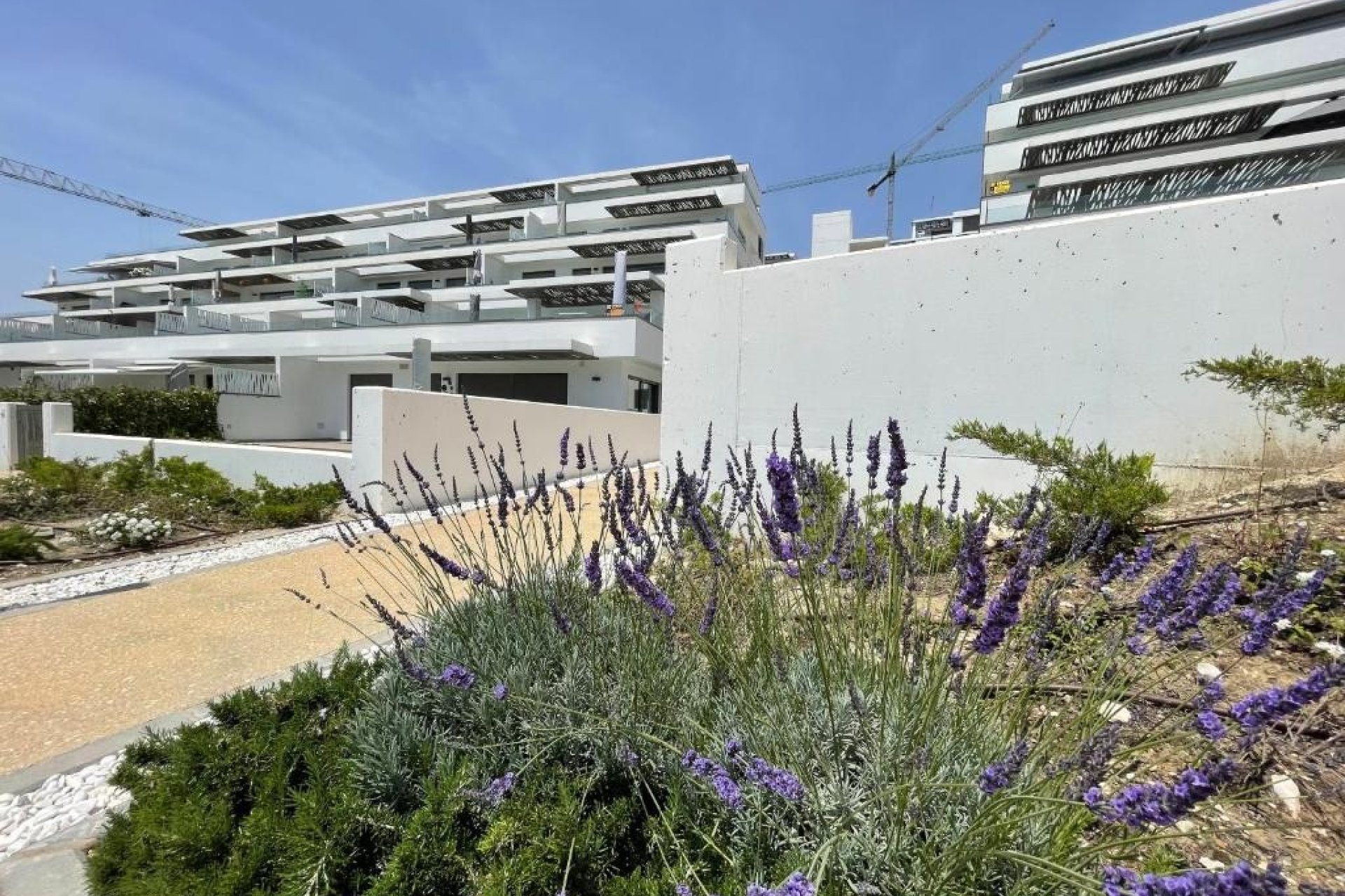 Wiederverkauf - apartment -
Finestrat - Seascape resort