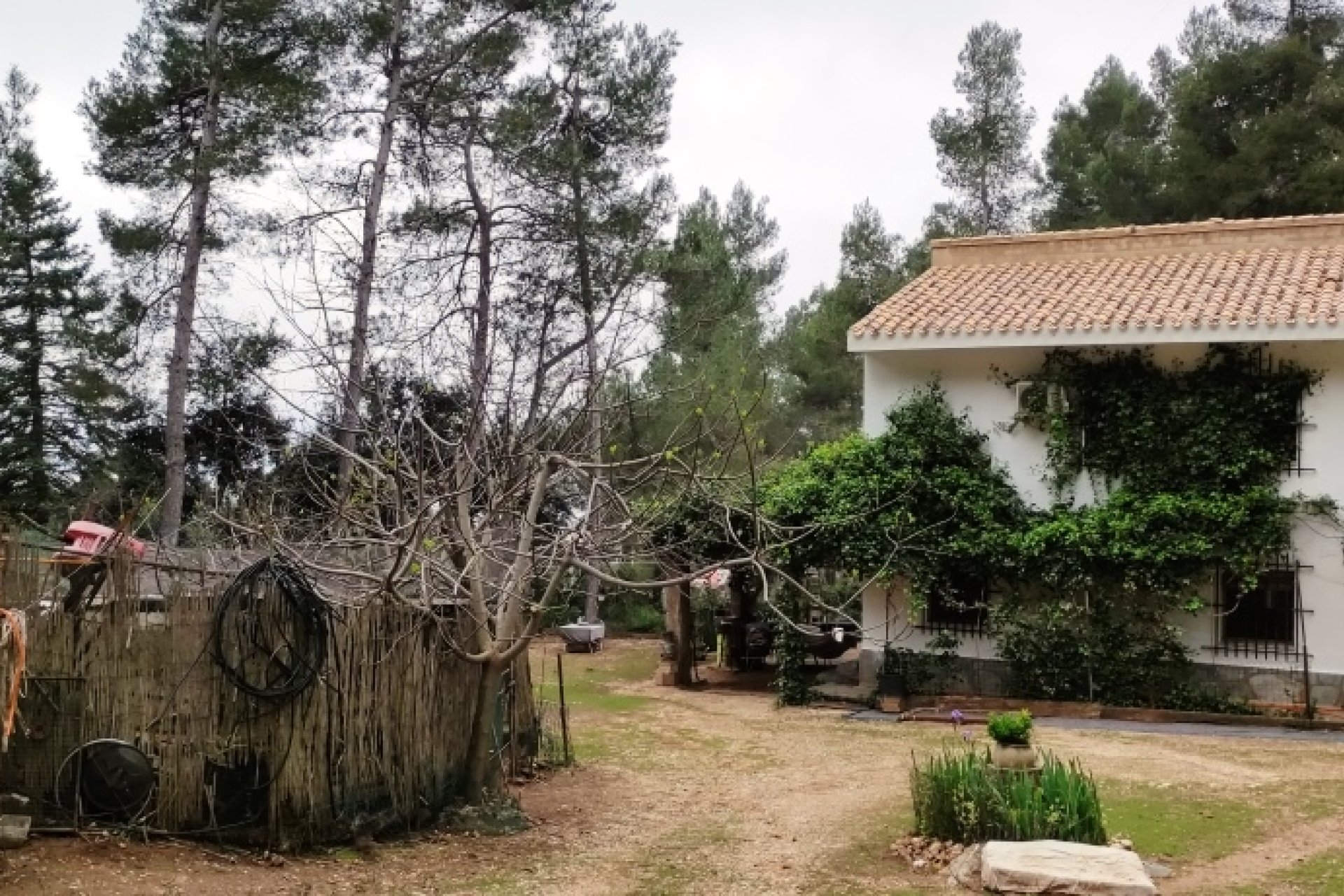 Wiederverkauf - Country House -
Bocairent