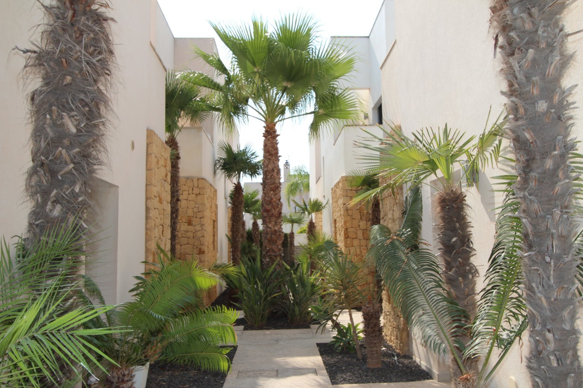 Wiederverkauf - Villa -
Ciudad Quesada - Doña Pepa