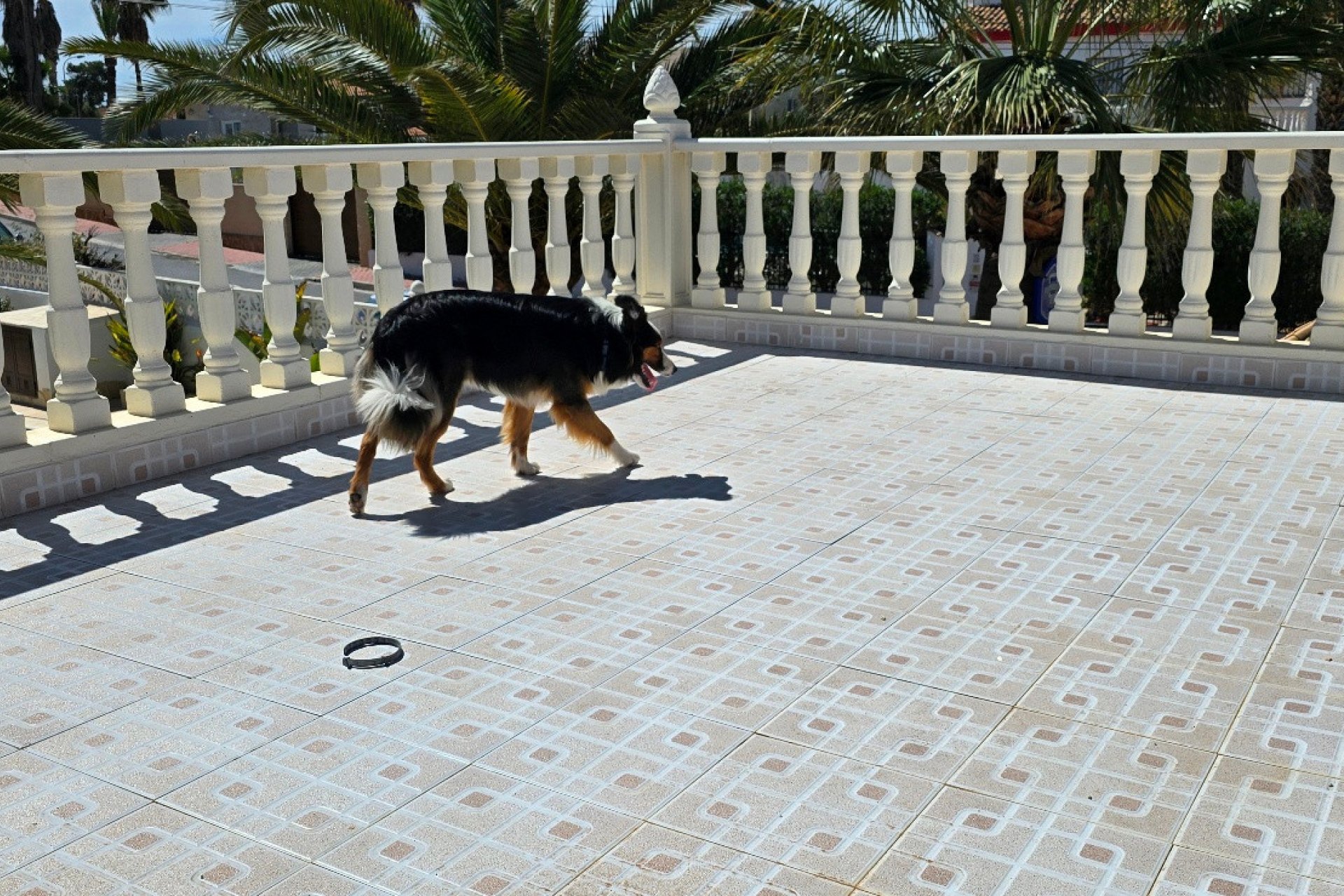 Wiederverkauf - Villa -
Torrevieja - El Chaparral